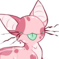 Adopt-251: Melon