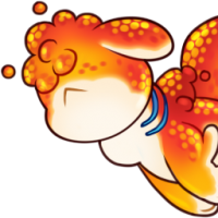 Adopt-481: Finn