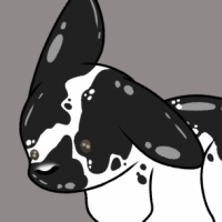 Thumbnail for VOID-798: Honey Bunny