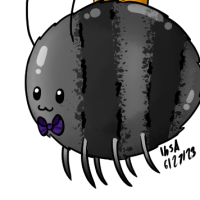 Thumbnail for Pet-1023: Mister