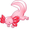 Axolotl MYO