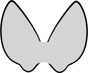 Manta  Wings