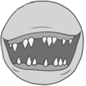 Damaged/Missing Teeth