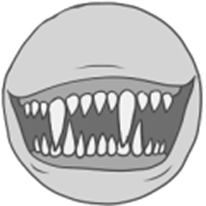 Vampire/Venomous Teeth