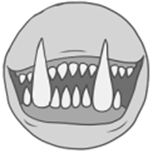 Tusk Teeth