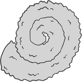 Spiral Tail