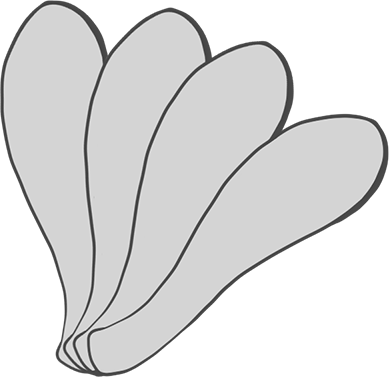 3+ Tails