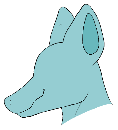 Long Muzzle