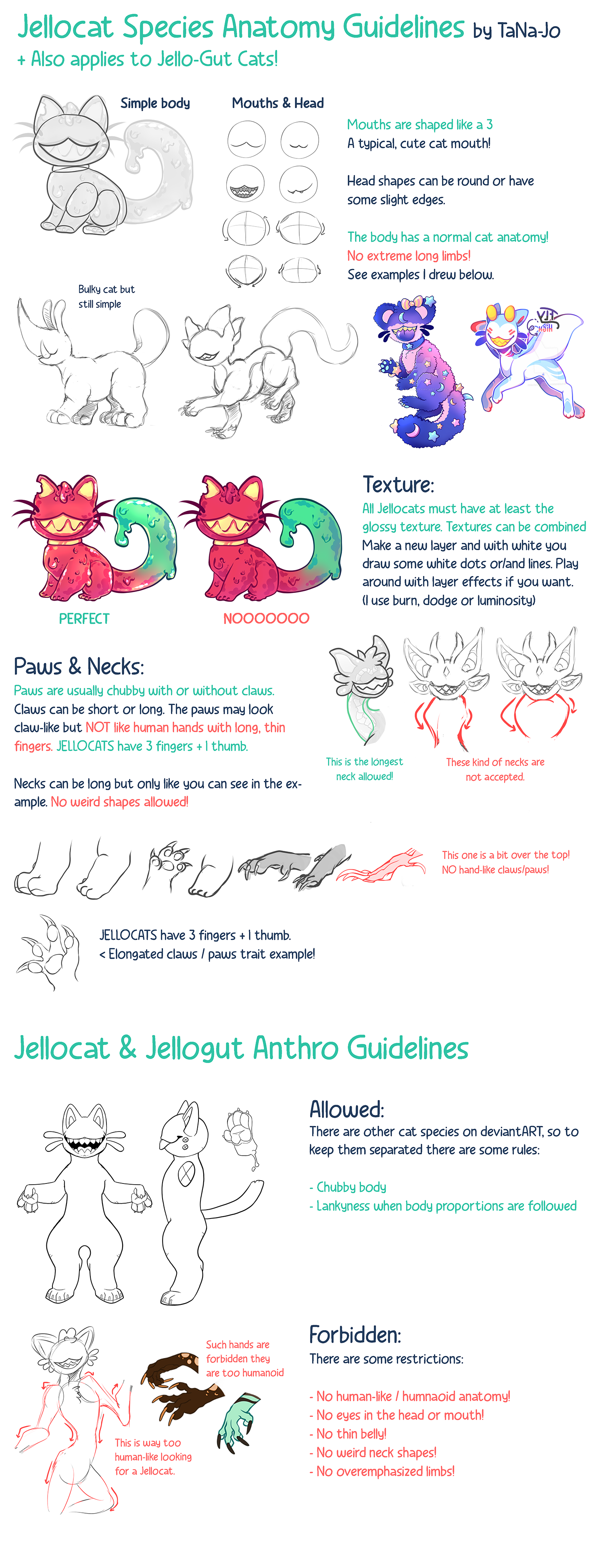 Anatomy Guide